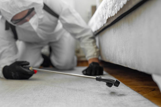 Professional Emergency Pest Control technician working in Woodbury, NY