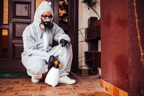 Reliable Emergency Pest Control contractor in Woodbury, NY by Nex Pest Control