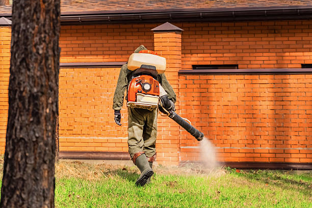 Trusted Mosquito Control service in Woodbury, NY - Nex Pest Control